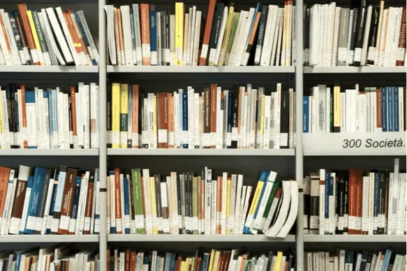 numerosi libri esposti sugli scaffali della biblioteca