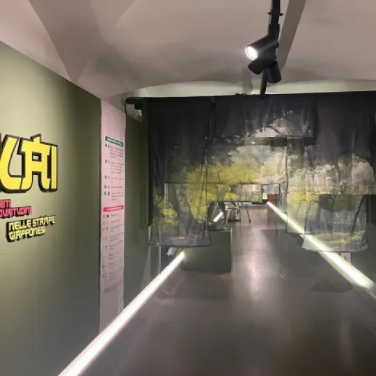 la mostra Yōkai negli spazi del Museo degli Innocenti