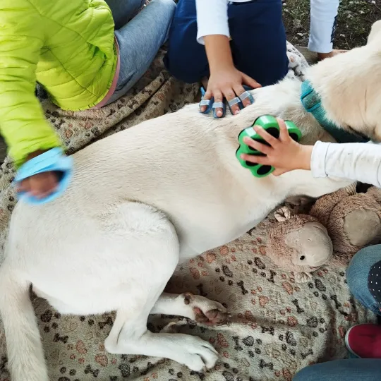 Bambini che fanno pet therapy